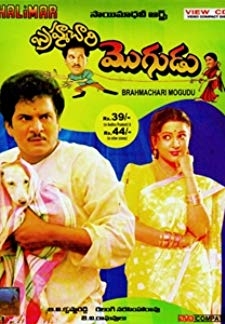 Brahmachari Mogudu (1994)