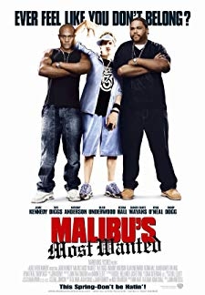 Malibus Most Wanted (2003)