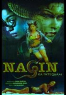 Nagin Ka Inteqaam (2009)