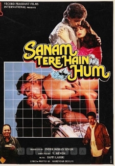 Sanam Tere Hai Hum (1992)