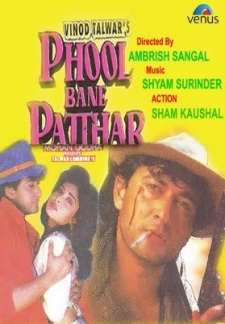Phool Bane Patthar (1998)