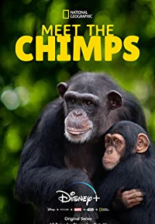 Meet the Chimps (2020)