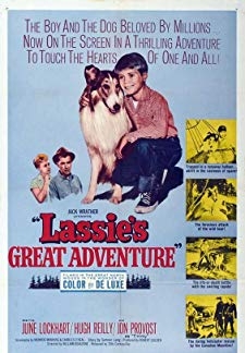 Lassies Great Adventure (1963)