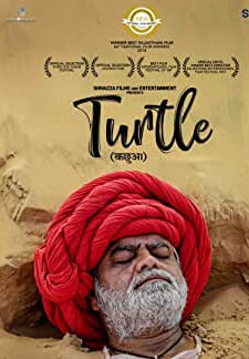 Turtle (2018)